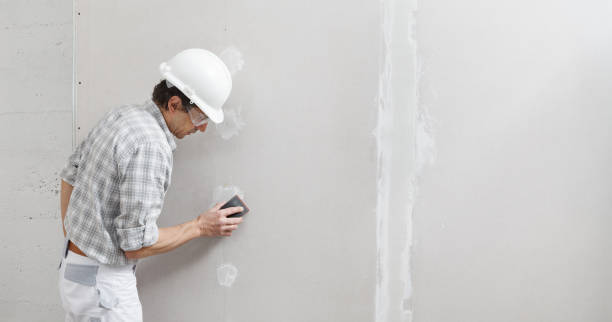  Berwyn, PA Painting & Drywall Services Pros